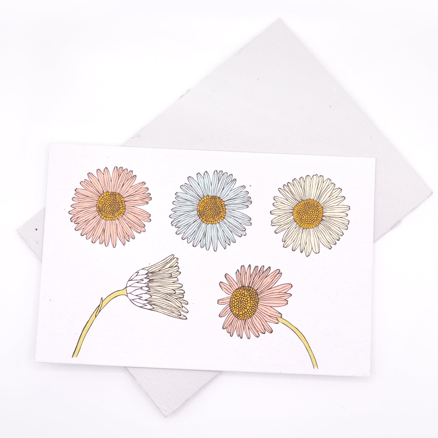 PLANTABLE POSTCARDS