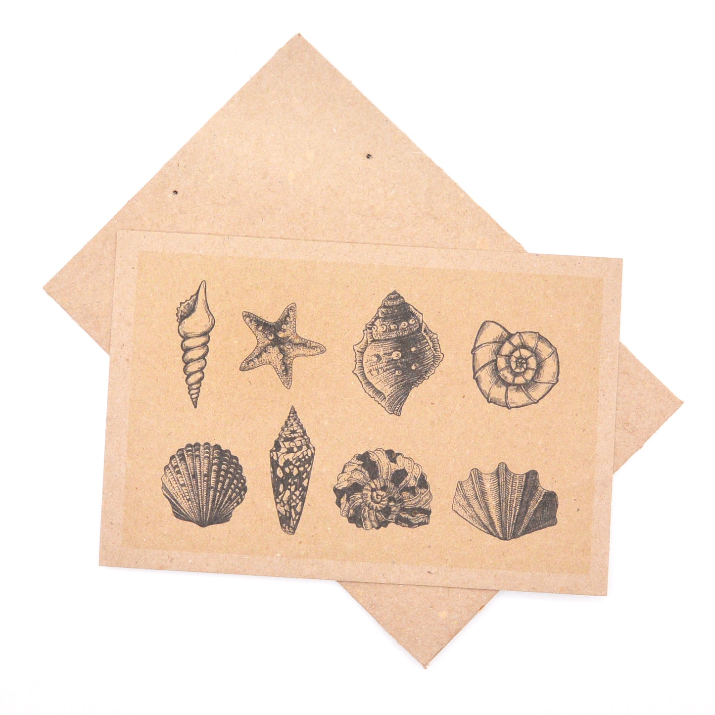 PLANTABLE POSTCARDS